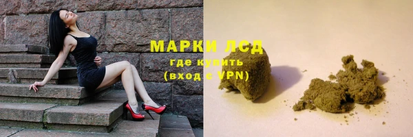 гашик Сатка