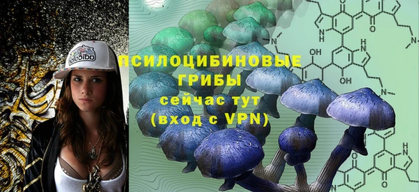 гашик Сатка