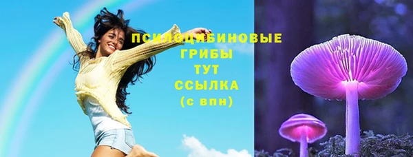 гашик Сатка