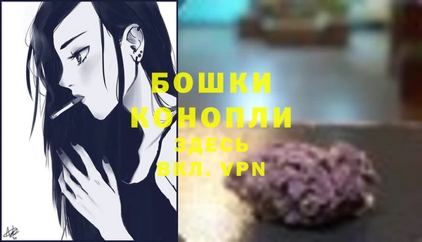 гашик Сатка