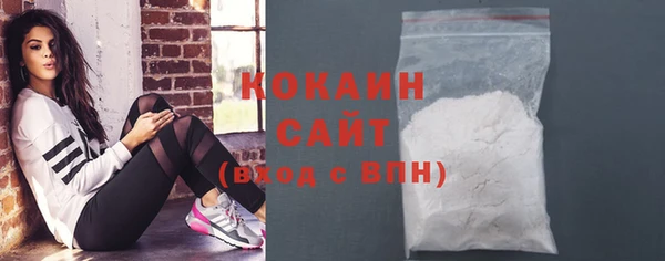 гашик Сатка