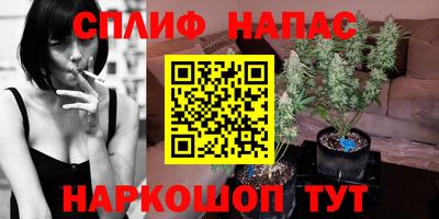 бошки Гай