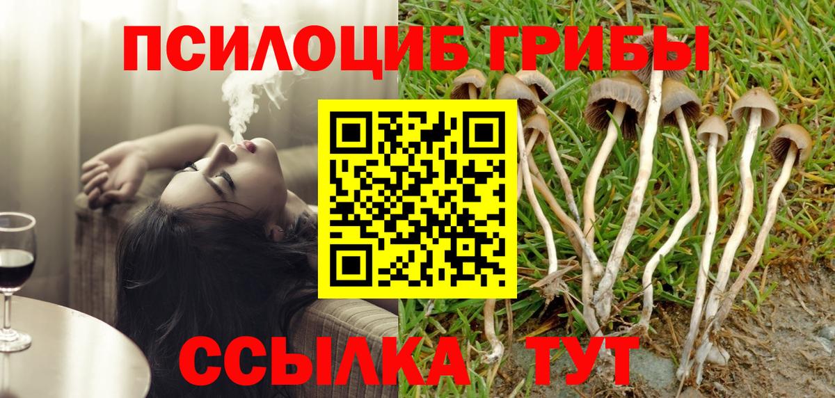 Галлюциногенные грибы GOLDEN TEACHER  Вход с VPN  Соль-Илецк  Галлюциногенные грибы MAGIC MUSHROOMS 